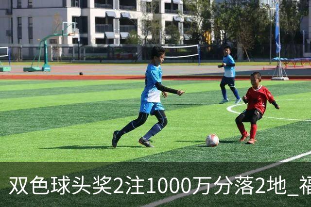 双色球头奖2注1000万分落2地 福运奖开880万注