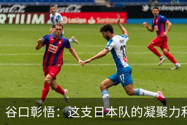 谷口彰悟：这支日本队的凝聚力和团队精神，是我生涯见过最强的